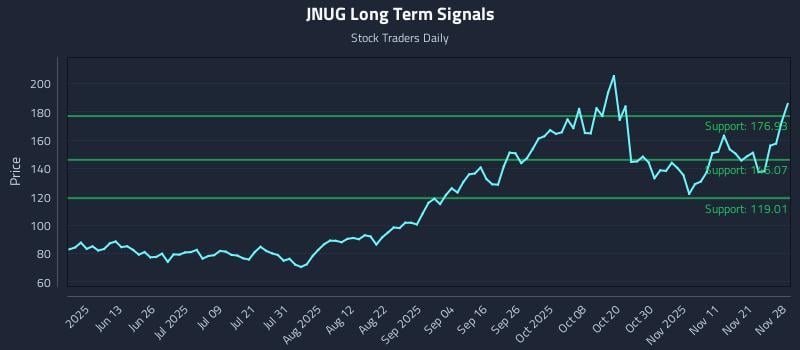 JNUG Long Term Analysis for November 29 2025 JNUG Long Term Analysis for November 29 2025