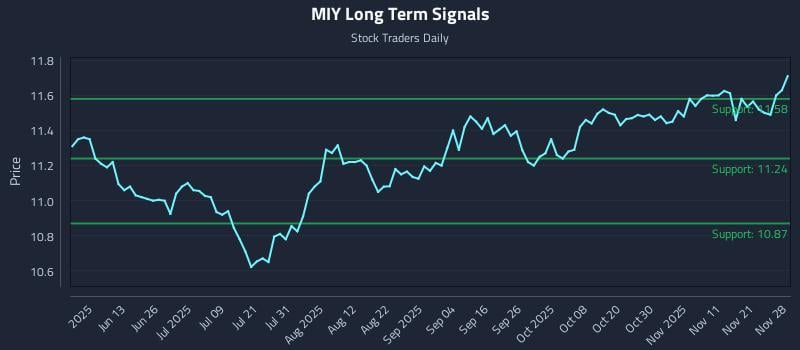 MIY Long Term Analysis for November 29 2025