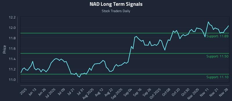 NAD Long Term Analysis for November 29 2025 NAD Long Term Analysis for November 29 2025