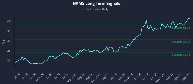 NAMS Long Term Analysis for November 29 2025
