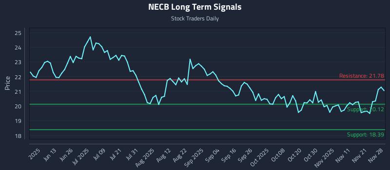 NECB Long Term Analysis for November 29 2025