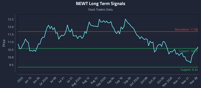 NEWT Long Term Analysis for November 29 2025