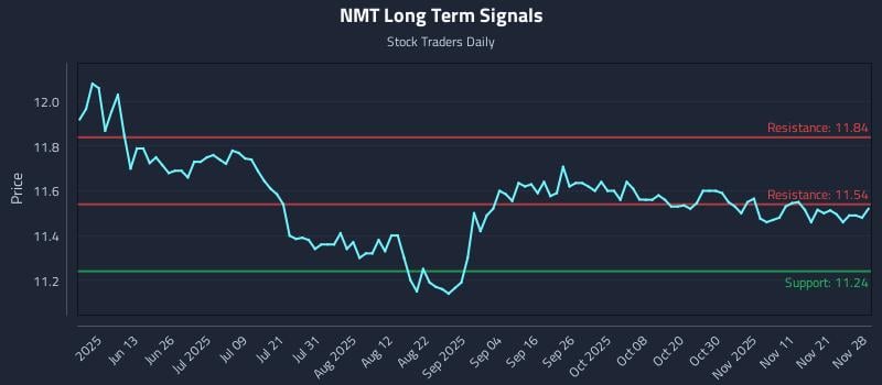 NMT Long Term Analysis for November 29 2025 NMT Long Term Analysis for November 29 2025