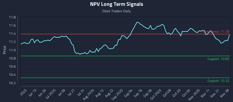 NPV Long Term Analysis for November 30 2025