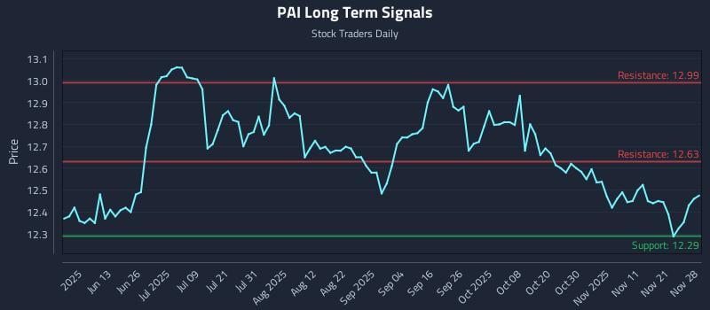 PAI Long Term Analysis for November 30 2025 PAI Long Term Analysis for November 30 2025