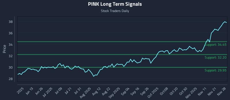PINK Long Term Analysis for November 30 2025 PINK Long Term Analysis for November 30 2025