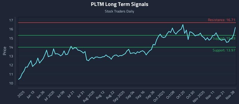 PLTM Long Term Analysis for November 30 2025