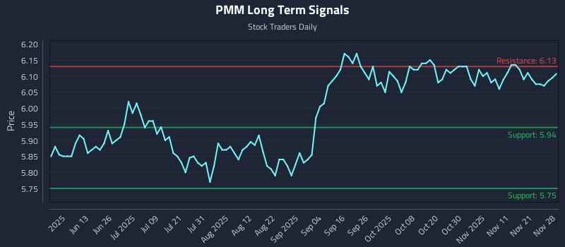 PMM Long Term Analysis for November 30 2025