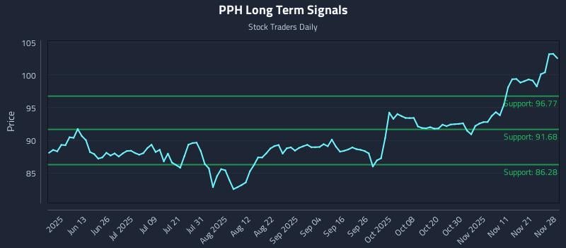 PPH Long Term Analysis for November 30 2025