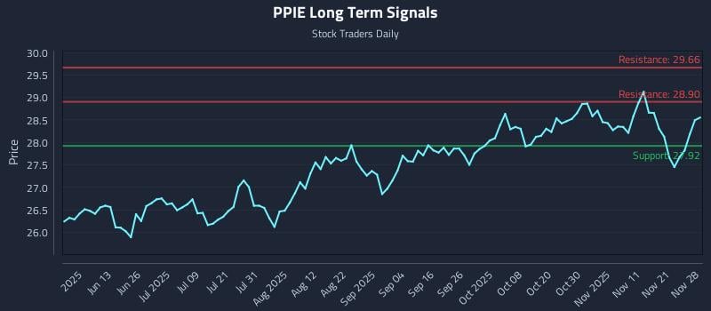 PPIE Long Term Analysis for November 30 2025