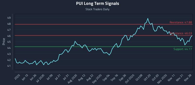 PUI Long Term Analysis for November 30 2025
