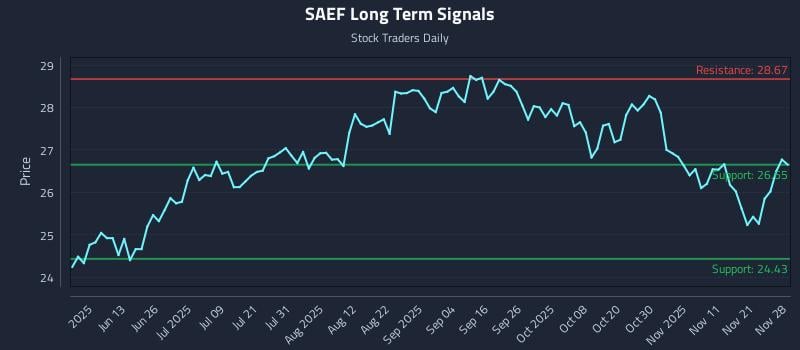 SAEF Long Term Analysis for November 30 2025 SAEF Long Term Analysis for November 30 2025