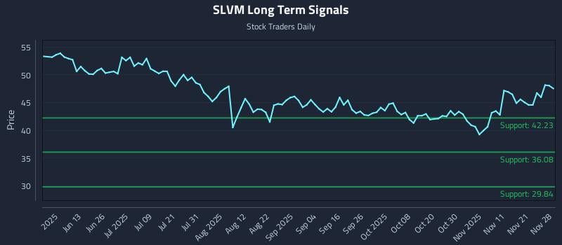 SLVM Long Term Analysis for November 30 2025 SLVM Long Term Analysis for November 30 2025