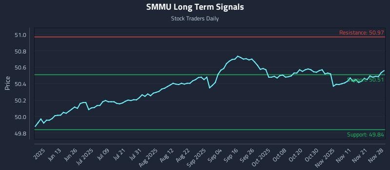 SMMU Long Term Analysis for November 30 2025