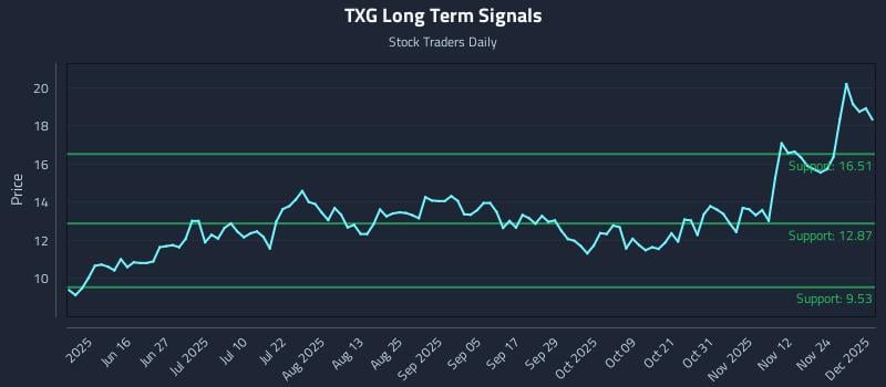TXG Long Term Analysis for December 1 2025