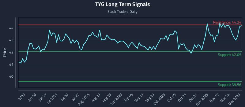 TYG Long Term Analysis for December 1 2025