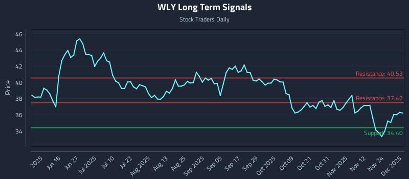 WLY Long Term Analysis for December 1 2025