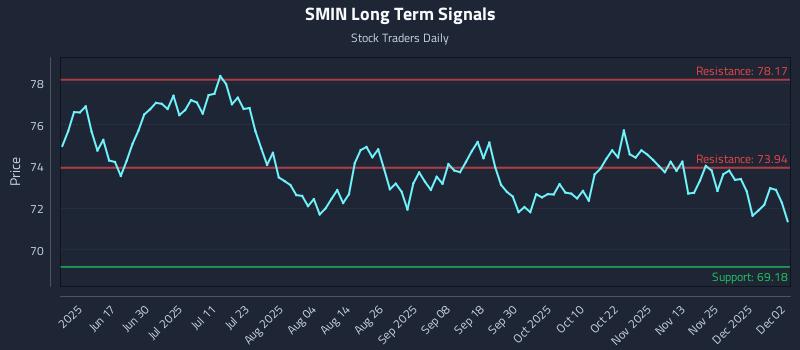 SMIN Long Term Analysis for December 2 2025