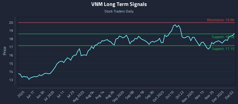 VNM Long Term Analysis for December 2 2025 VNM Long Term Analysis for December 2 2025