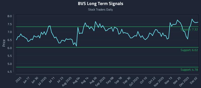 BVS Long Term Analysis for December 2 2025 BVS Long Term Analysis for December 2 2025