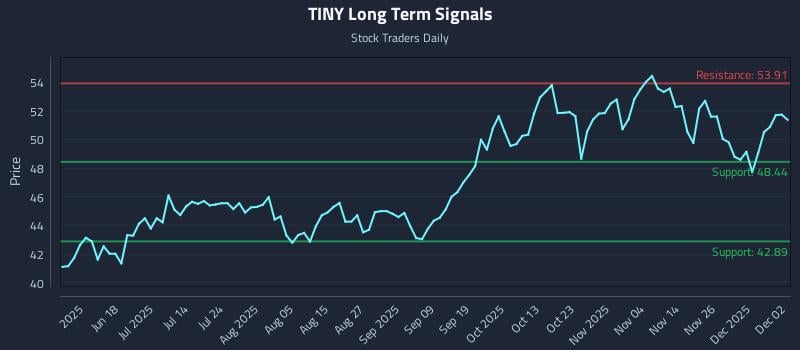 TINY Long Term Analysis for December 3 2025 TINY Long Term Analysis for December 3 2025