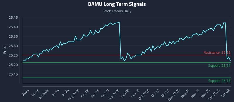 BAMU Long Term Analysis for December 3 2025