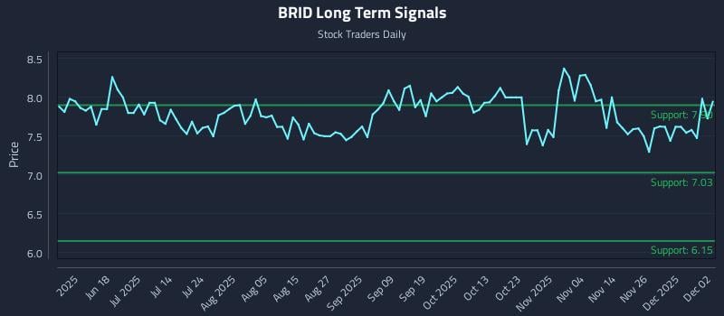 BRID Long Term Analysis for December 3 2025
