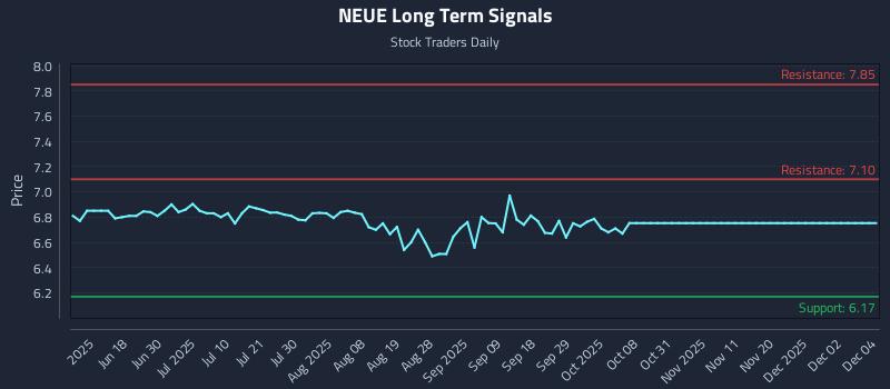 NEUE Long Term Analysis for December 4 2025 NEUE Long Term Analysis for December 4 2025