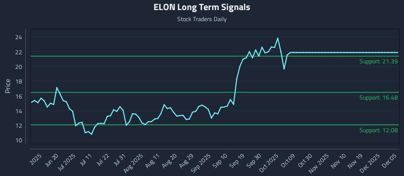 ELON Long Term Analysis for December 5 2025