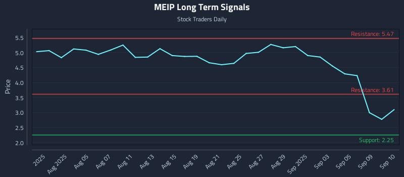 MEIP Long Term Analysis for December 5 2025