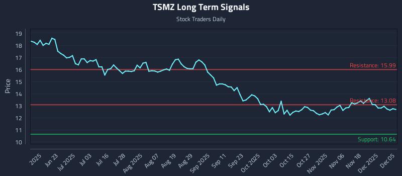 TSMZ Long Term Analysis for December 6 2025