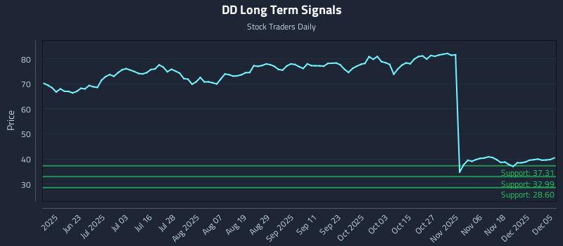 DD Long Term Analysis for December 6 2025
