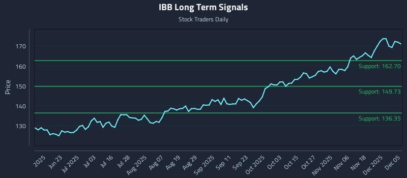 IBB Long Term Analysis for December 7 2025