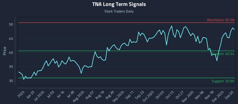 TNA Long Term Analysis for December 7 2025