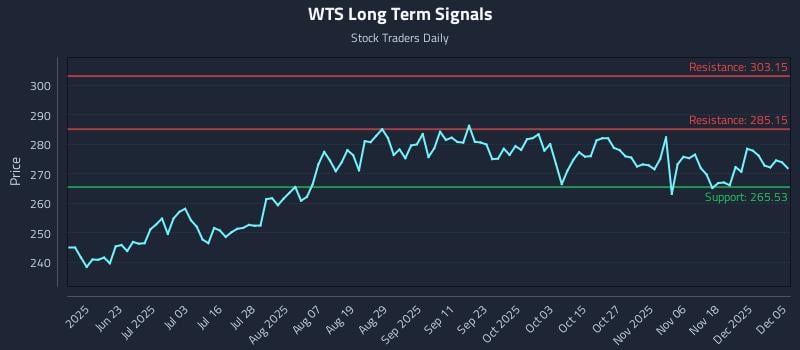 WTS Long Term Analysis for December 7 2025