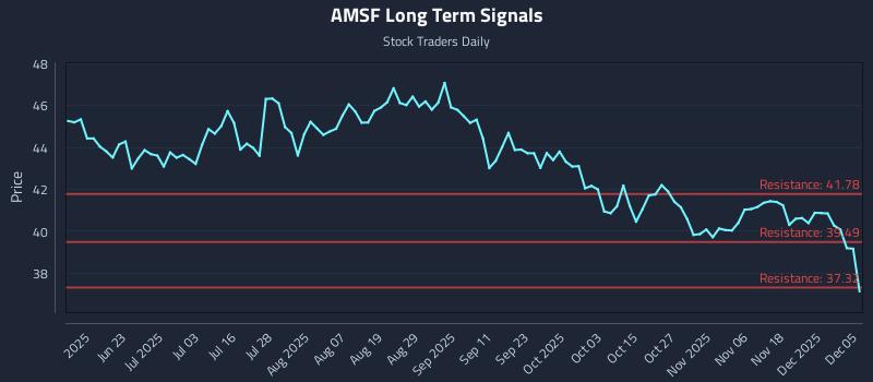 AMSF Long Term Analysis for December 7 2025