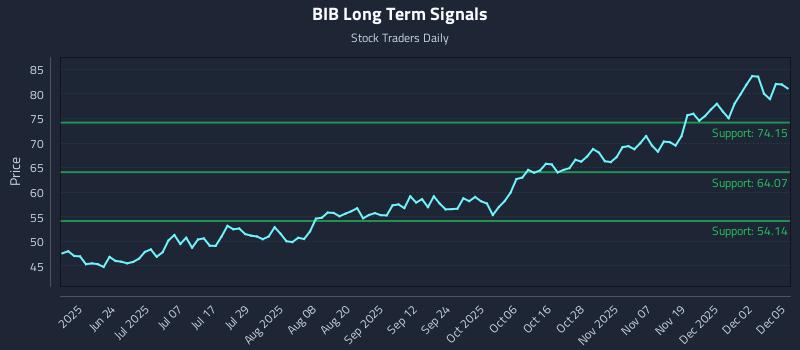 BIB Long Term Analysis for December 8 2025