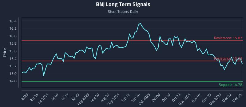 BNJ Long Term Analysis for December 8 2025
