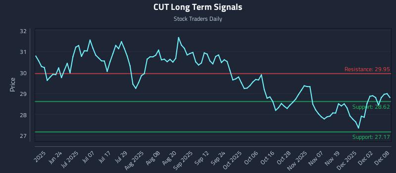 CUT Long Term Analysis for December 8 2025 CUT Long Term Analysis for December 8 2025