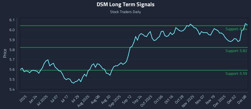 DSM Long Term Analysis for December 8 2025