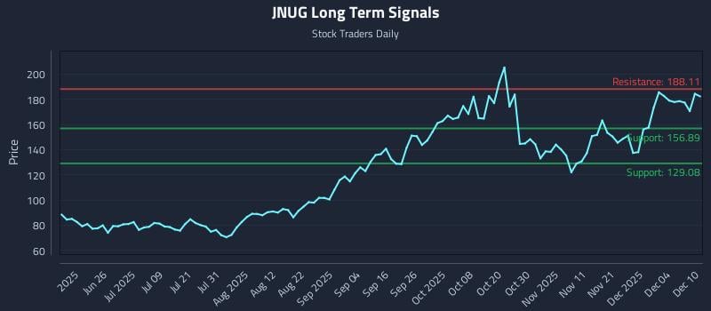 JNUG Long Term Analysis for December 10 2025