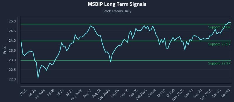 MSBIP Long Term Analysis for December 10 2025
