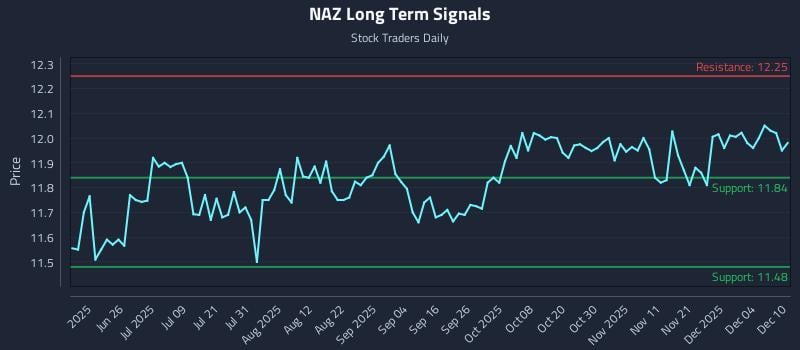 NAZ Long Term Analysis for December 10 2025 NAZ Long Term Analysis for December 10 2025