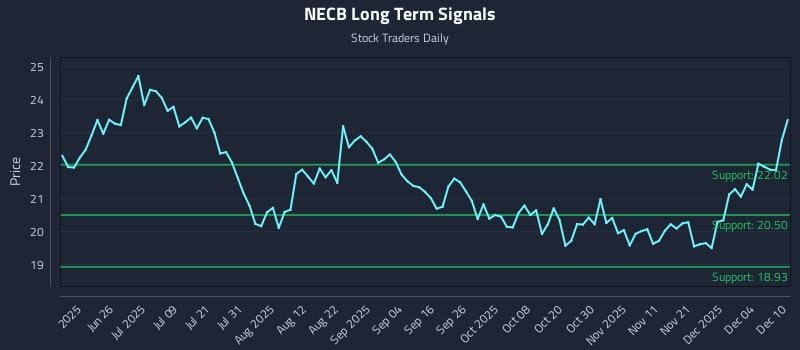 NECB Long Term Analysis for December 10 2025