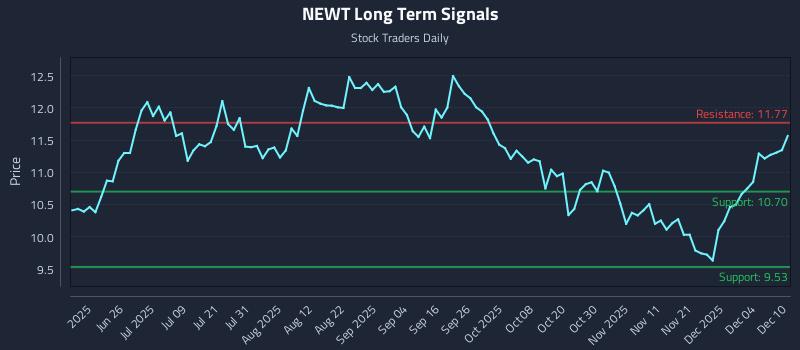 NEWT Long Term Analysis for December 10 2025 NEWT Long Term Analysis for December 10 2025