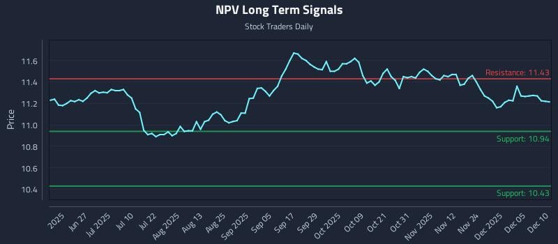 NPV Long Term Analysis for December 11 2025 NPV Long Term Analysis for December 11 2025