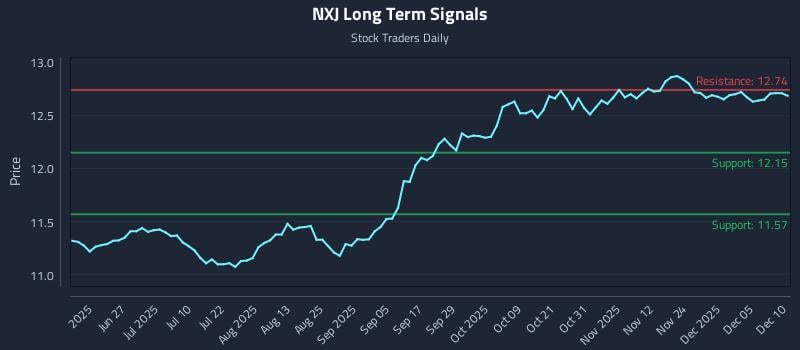NXJ Long Term Analysis for December 11 2025