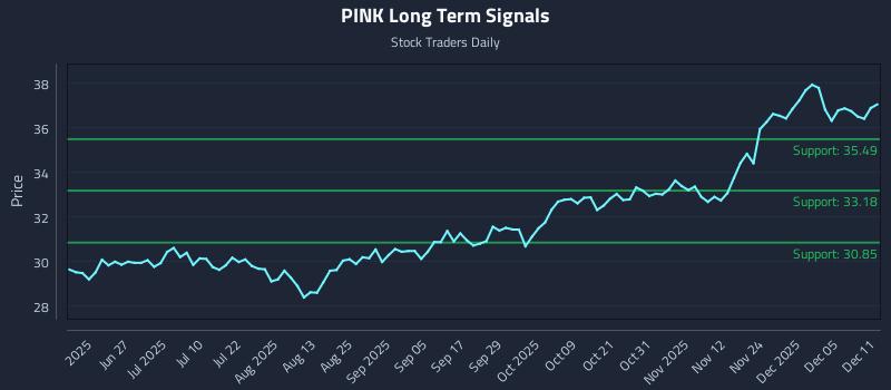 PINK Long Term Analysis for December 11 2025 PINK Long Term Analysis for December 11 2025