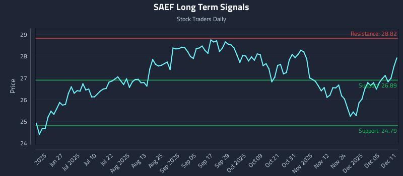 SAEF Long Term Analysis for December 11 2025 SAEF Long Term Analysis for December 11 2025