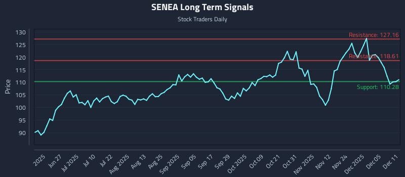 SENEA Long Term Analysis for December 11 2025 SENEA Long Term Analysis for December 11 2025